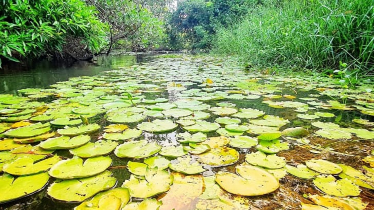 Cicloturismo e Ecoturismo em Pium são opções seguras em tempos de Pandemia