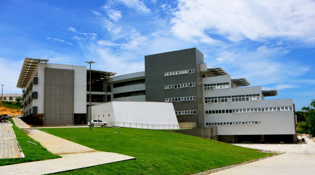 Instituto do Cérebro completa 10 anos como expoente da neurociência no país