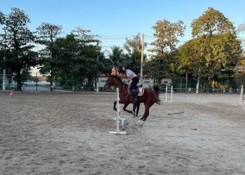 Bruna Guimarães volta aos treinos de hipismo após se recuperar da Covid 19