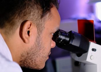 Combate aos radicais livres