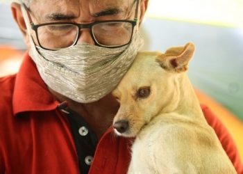 Vacinação antirrábica: Parnamirim encerra pré-campanha com 10.133 animais vacinados