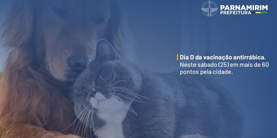 Parnamirim: neste sábado (25) tem o Dia D da vacinação antirrábica em mais de 60 pontos