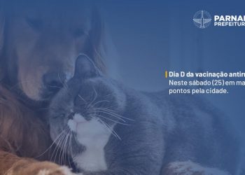 Parnamirim: neste sábado (25) tem o Dia D da vacinação antirrábica em mais de 60 pontos