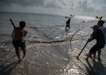 Projeto de Lei criará conselho e Fundo para fomentar atividade pesqueira no RN