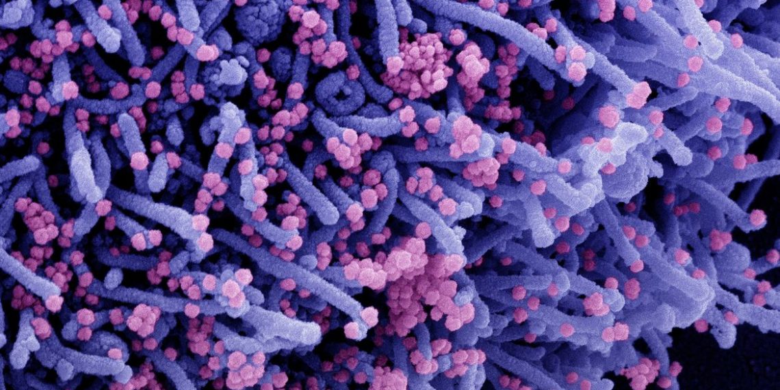 Média móvel de óbitos por covid-19 é a menor desde abril de 2020