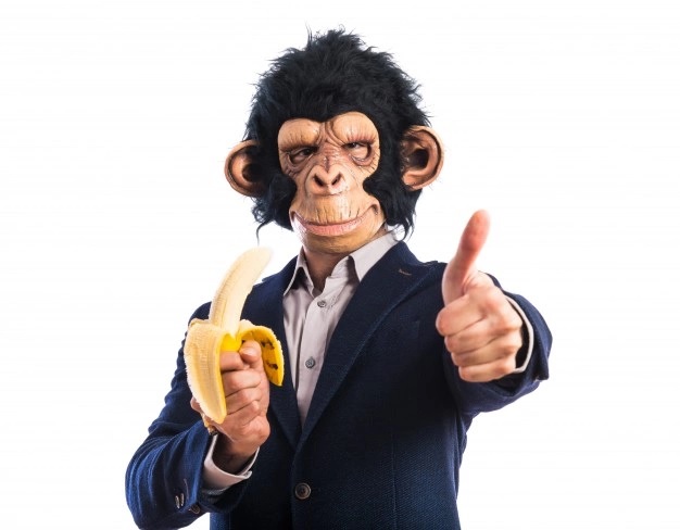 Aos vencedores, as bananas!