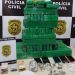 Polícia Civil prende suspeito por tráfico de drogas e apreende 90kg de maconha