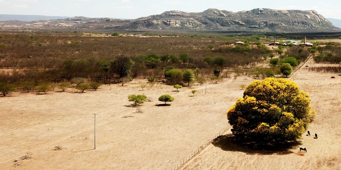 O caminho das pedras
