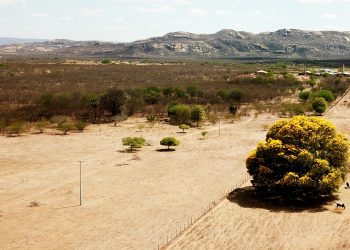 O caminho das pedras