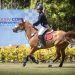 Potiguar de 13 anos ganha 2 títulos no Norte-Nordeste de hipismo