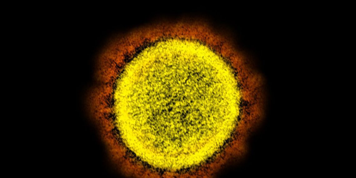 Sobe para 74 o número de casos da variante Ômicron no Brasil