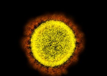 Sobe para 74 o número de casos da variante Ômicron no Brasil