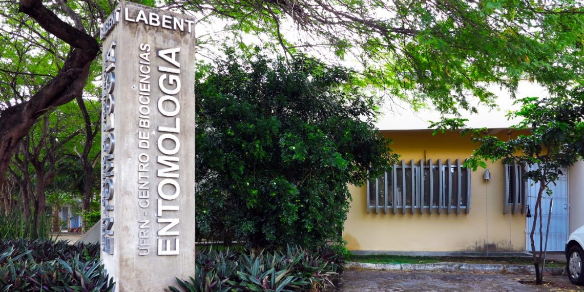 Laboratório de Entomologia celebra 15 anos de atuação