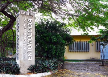 Laboratório de Entomologia celebra 15 anos de atuação