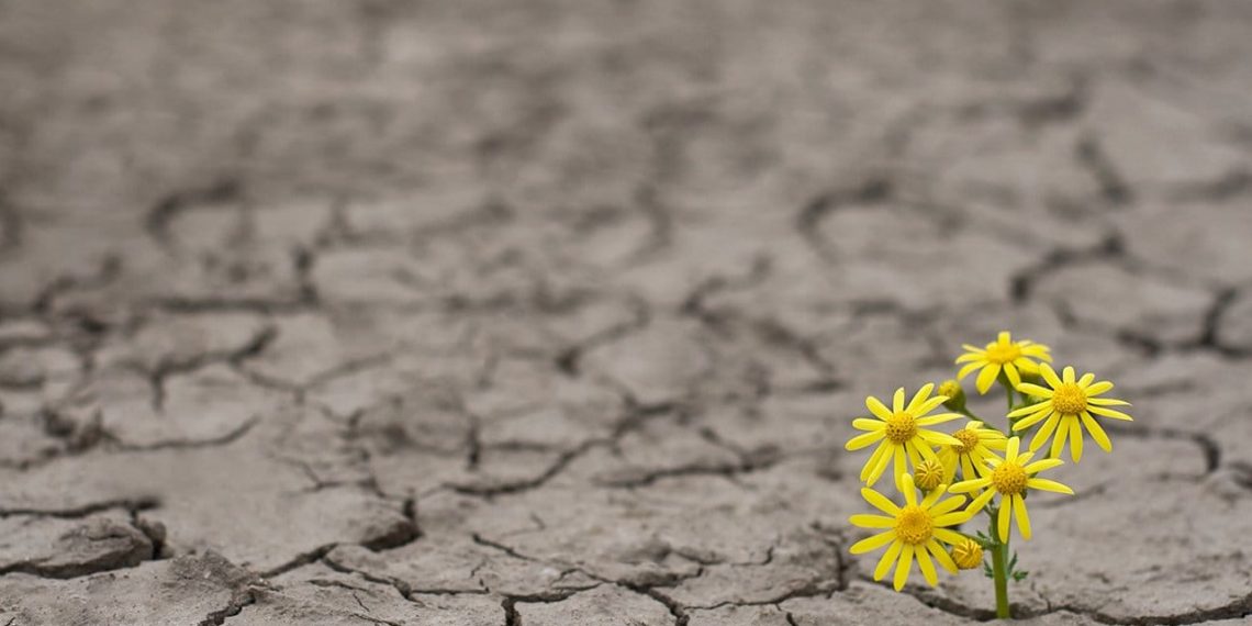Resiliência e ressignificação diante do câncer