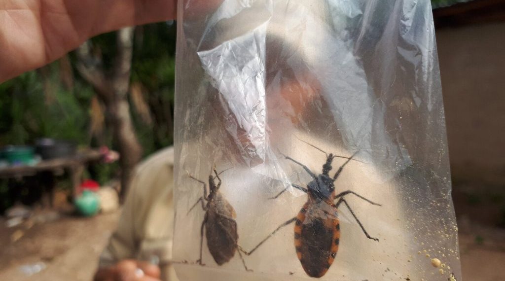 Projeto investiga a prevalência da doença de Chagas em Apodi