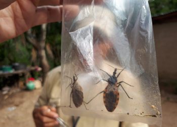 Projeto investiga a prevalência da doença de Chagas em Apodi