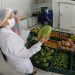Banco de Alimentos de Natal terá nova fase lançada nesta terça (29)