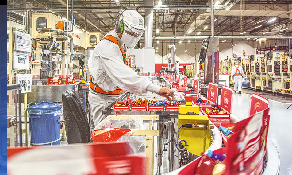 Indústria 4.0 e comida para pet: A aposta bilionária da Nestlé no Brasil