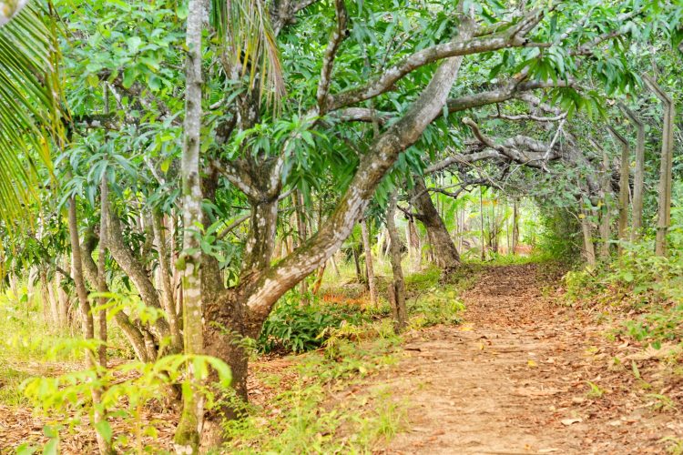 Turismo Ecológico e de Aventura se destacam em Parnamirim