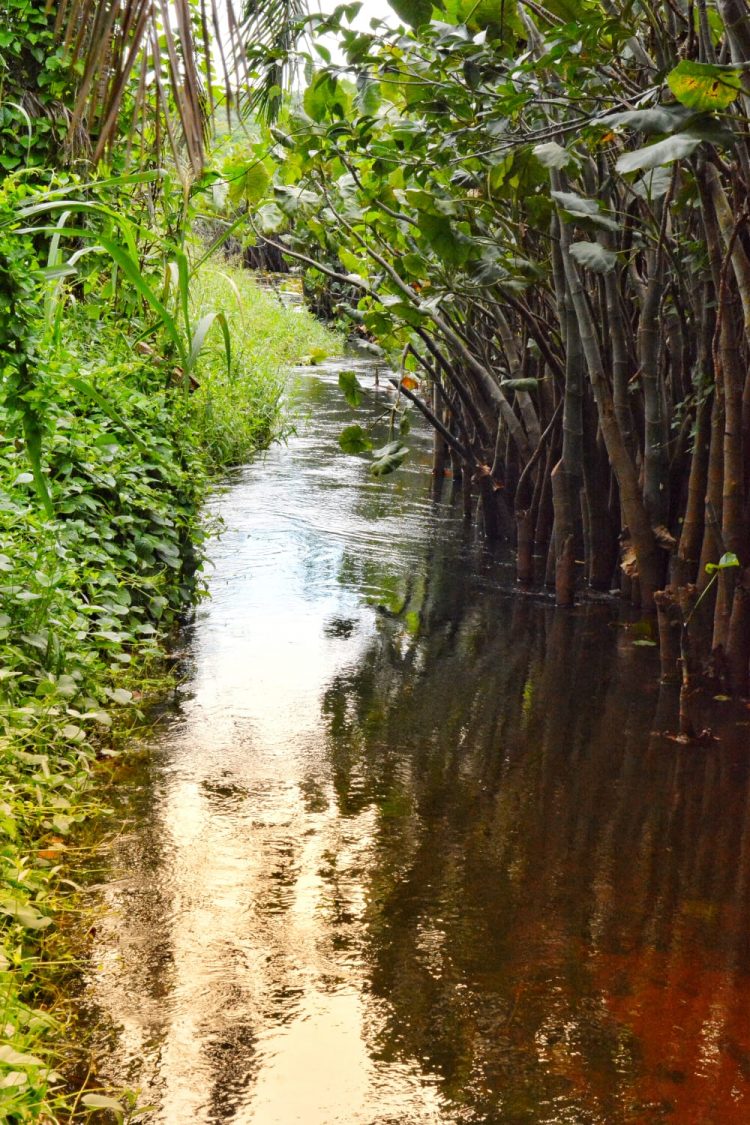 Turismo Ecológico e de Aventura se destacam em Parnamirim