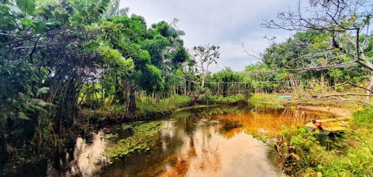 Turismo Ecológico e de Aventura se destacam em Parnamirim