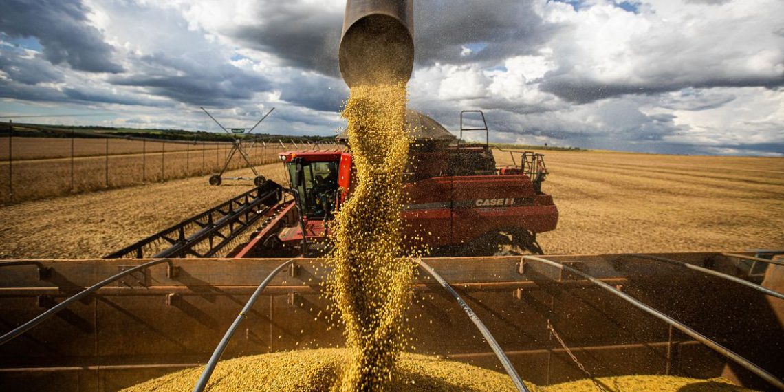 Produção agrícola deve atingir 269,3 milhões de toneladas, diz Conab