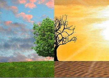 Dia do Planeta Terra: o que é preciso para minimizar as ameaças ao meio ambiente