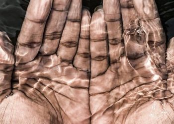 Da casca do caju, um clarificador de água