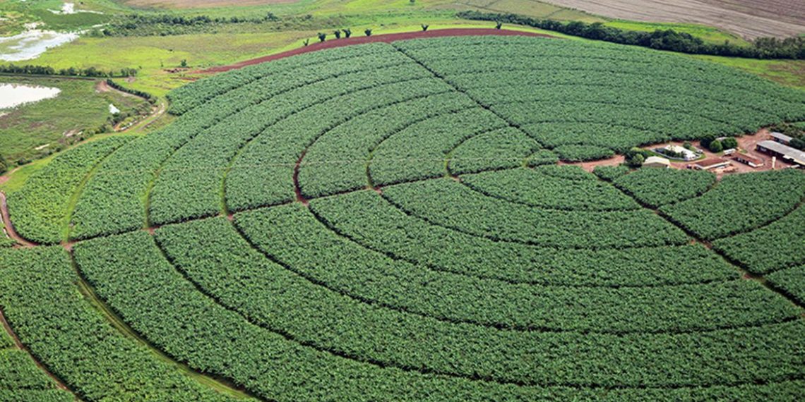 Brasil negocia aumento da importação de potássio da Jordânia