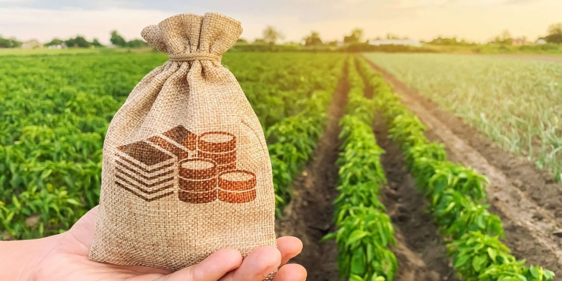 Grupo de pesquisa lança banco de dados do agronegócio brasileiro