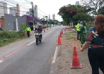 Após árvore cair sobre motociclista, prefeitura de Natal avalia plantas na avenida Hermes da Fonseca