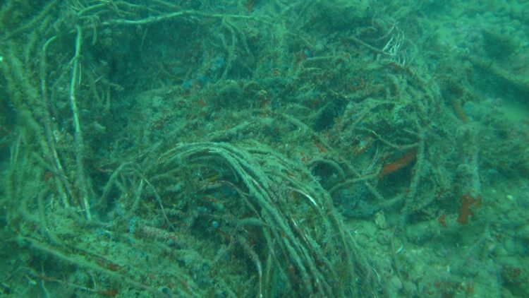 Acervo do CCTV recebe imagem de Xavante naufragado no litoral de Parnamirim