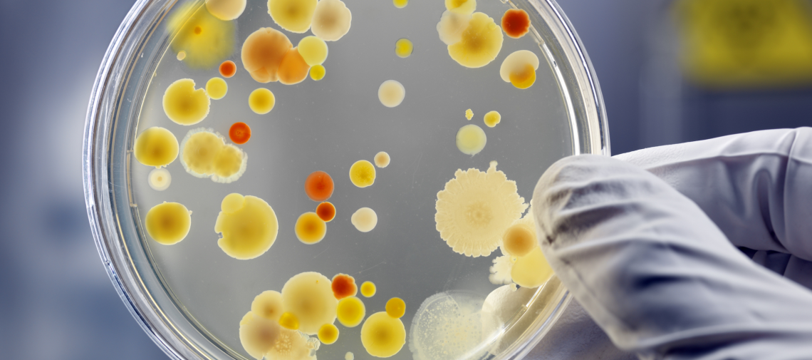 Metagenoma: UFRN desenvolve ferramenta que automatiza análise genômica