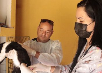 Prefeitura de Parnamirim inicia pré-campanha de vacinação antirrábica neste sábado (11)