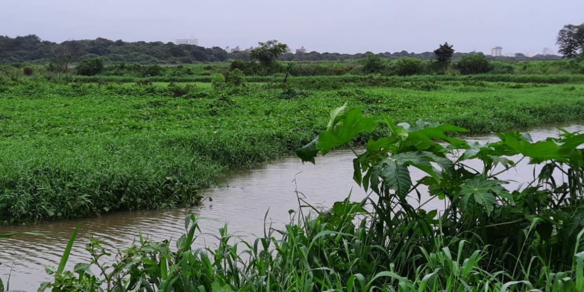 TJRN confirma omissão da Prefeitura de Natal em serviços de drenagem