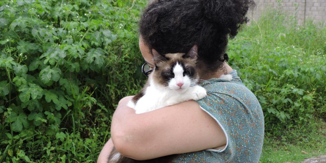 Parnamirim: vacinação antirrábica é demonstração de carinho e amor aos bichinhos de estimação