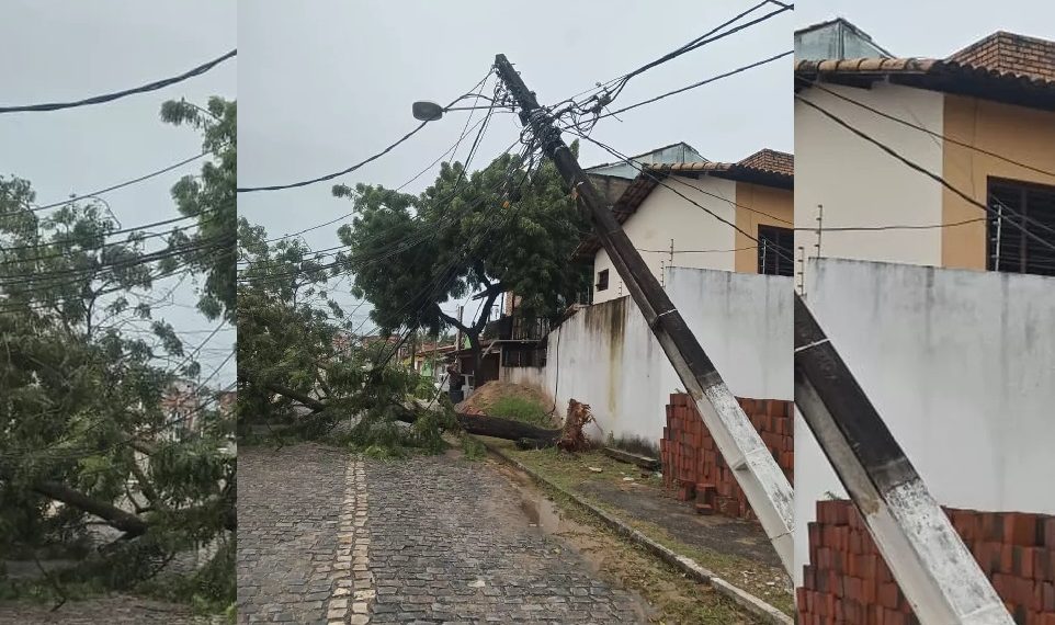 Árvore cai sobre rede elétrica e Cosern interrompe fornecimento de energia em Nova Parnamirim