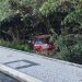 Carro sai da pista, atravessa calçadão e invade área de mata após médico dormir ao volante em Natal, diz CPRE
