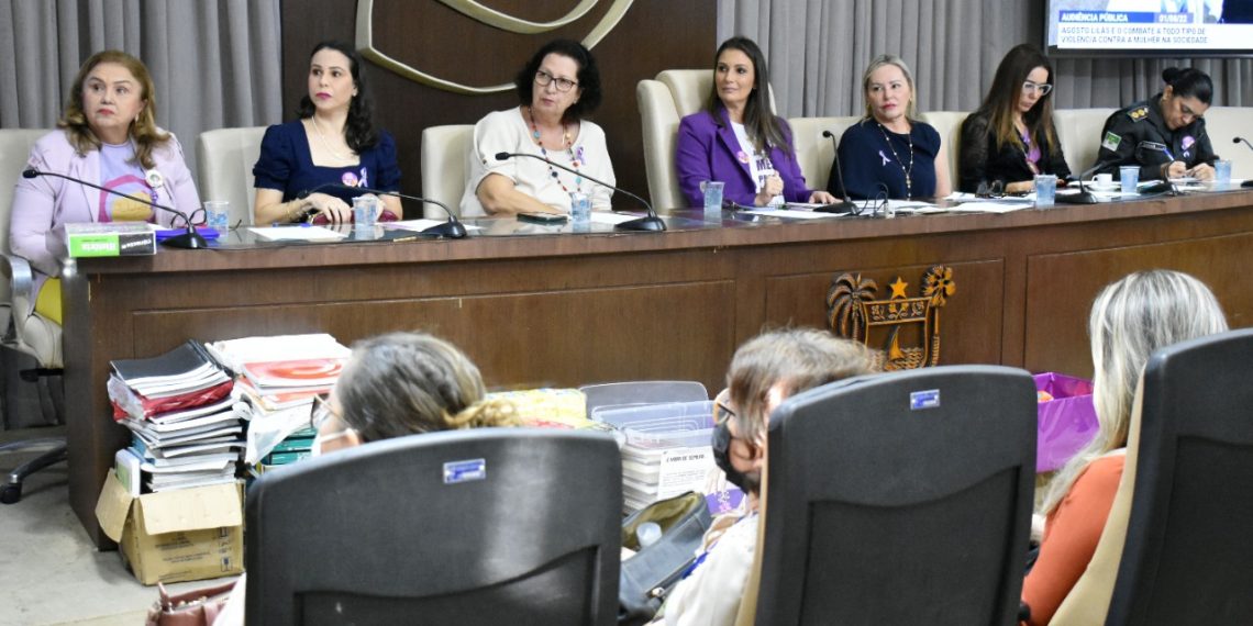 Audiência Pública discute políticas públicas voltadas à defesa da mulher