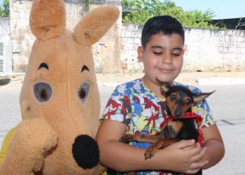 Parnamirim: Dia D da vacinação antirrábica alcança a marca de mais de 13 mil animais imunizados