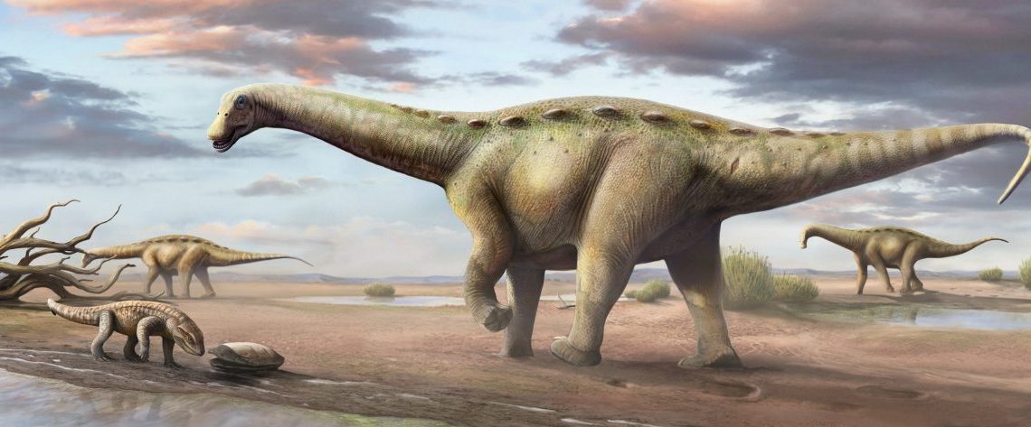 Novo dinossauro brasileiro: pesquisadora da UFRN participa de descoberta que serve de modelo internacional para a paleontologia