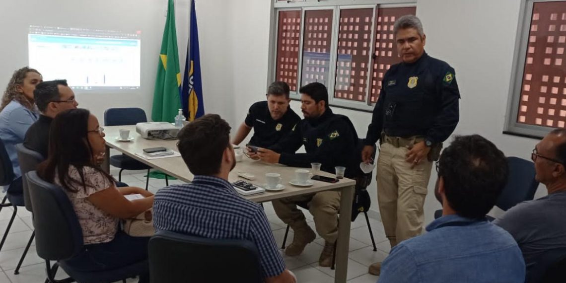 Em parceria com PRF, Parnamirim deve iniciar em breve o recolhimento de animais em vias públicas