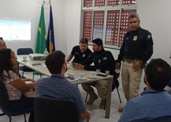 Em parceria com PRF, Parnamirim deve iniciar em breve o recolhimento de animais em vias públicas