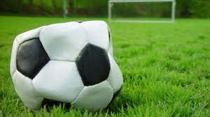 Inconformado com árbitro, dirigente do Atlético Potengi tira time de campo na Série B do Estadual