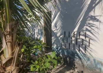 Polícia prende homem por maus-tratos e cárcere privado e resgata idosa na Grande Natal