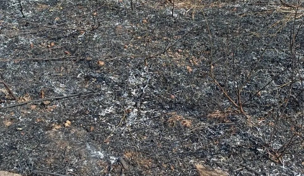 Padeiro morre carbonizado após perder controle da motocicleta e veículo pegar fogo na RN-177