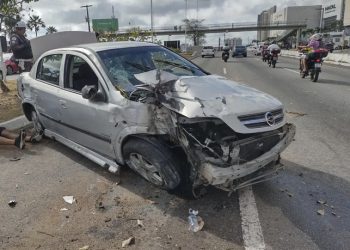 Carro atravessa canteiro, derruba árvore e para na contramão da BR-101 em Natal