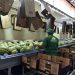 Balança comercial do RN tem saldo 58% maior este ano