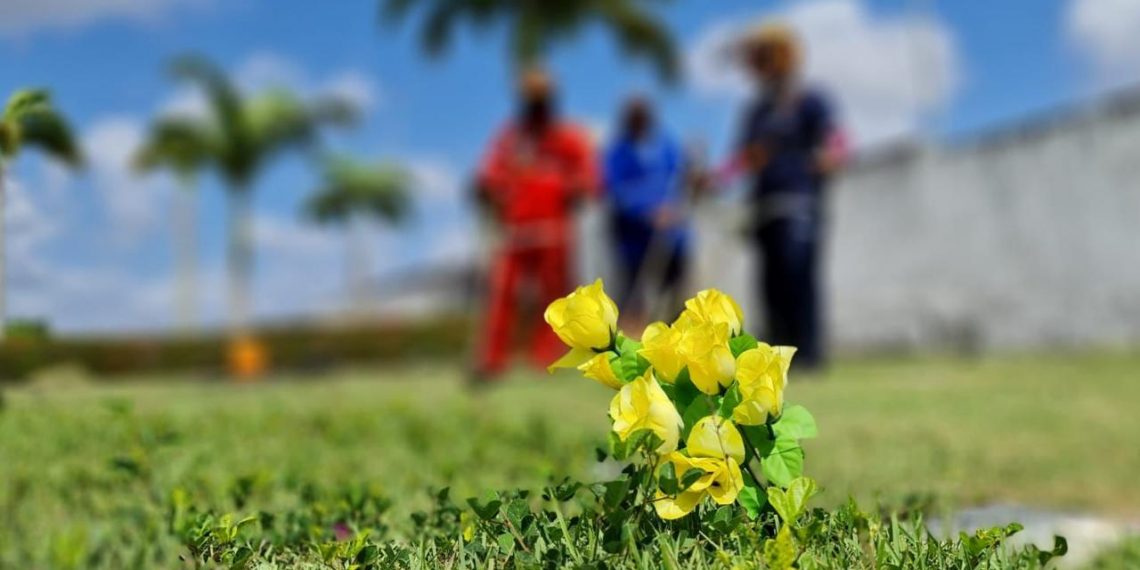 Parnamirim: Semsur realiza atualização cadastral para responsáveis por sepulturas em estado de abandono nos cemitérios públicos